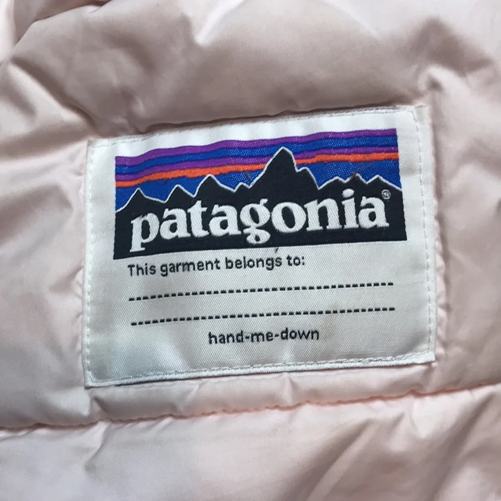 Patagonia Ski Jacket (size 3T)